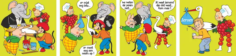 Flipje geboortekaartje Jeroen