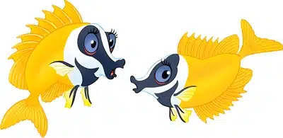 Van Hoorne Studios Burgers Zoo vossenkopvis